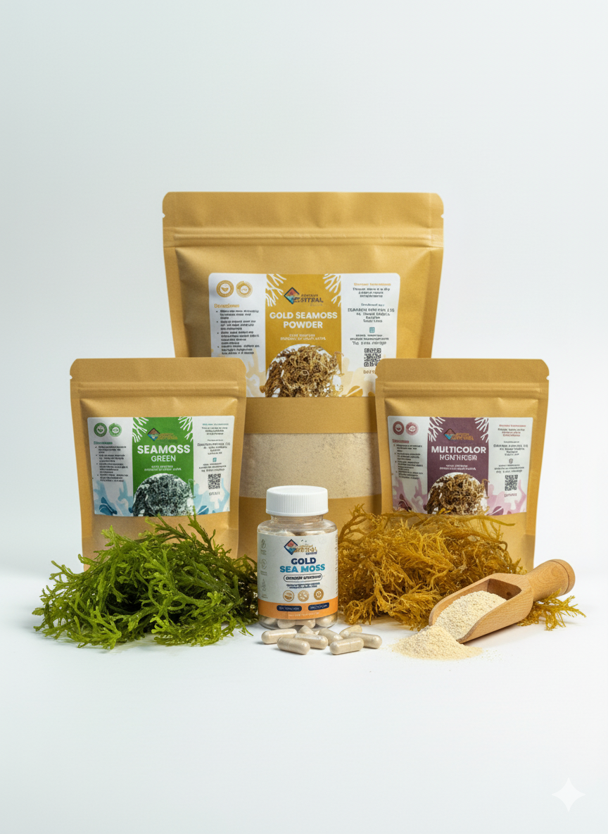 Bundles & Wholesale