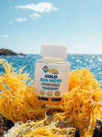 Wholesale Golden Organic Seamoss Capsules 12 Pk Bottle