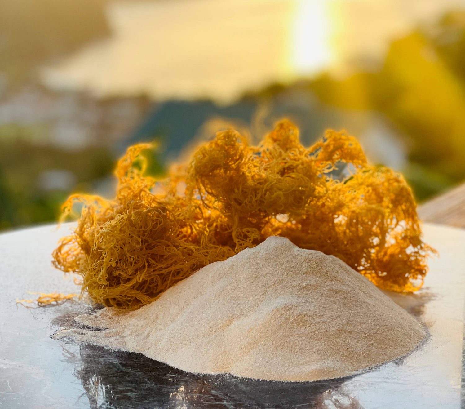 Gold Seamoss Powder 1lb/16oz