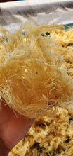 Load image into Gallery viewer, (2) Golden Organic Seamoss 5lb
