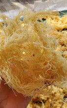 Load image into Gallery viewer, (3) WHOLESALE Golden Seamoss 20lb
