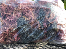 Load image into Gallery viewer, (2.1) Organic Multicolored Seamoss 5lb.
