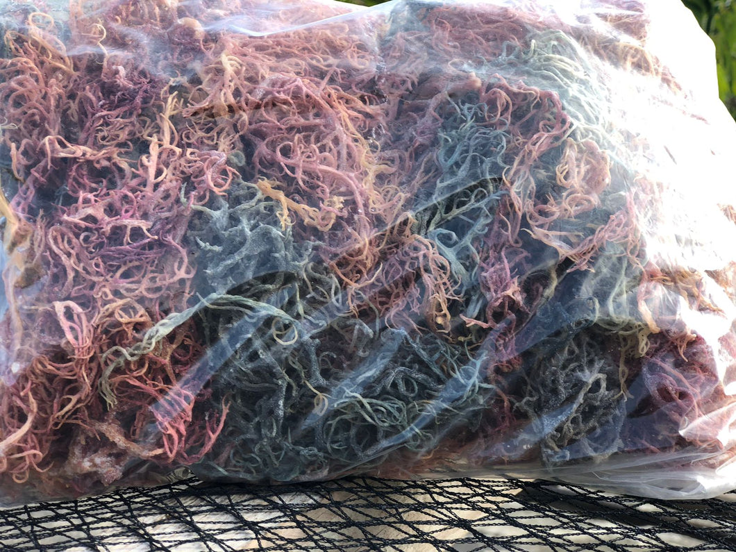 (4.2)WHOLESALE Organic Multicolored Seamoss 100lb