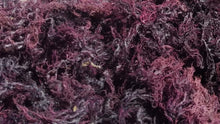 Load image into Gallery viewer, (3.3) WHOLESALE PURPLE SEAMOSS 20/lb
