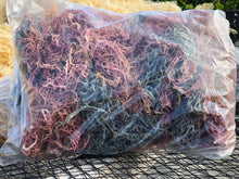 Load image into Gallery viewer, (1.1) Organic Multicolored Seamoss 1lb/(16oz)
