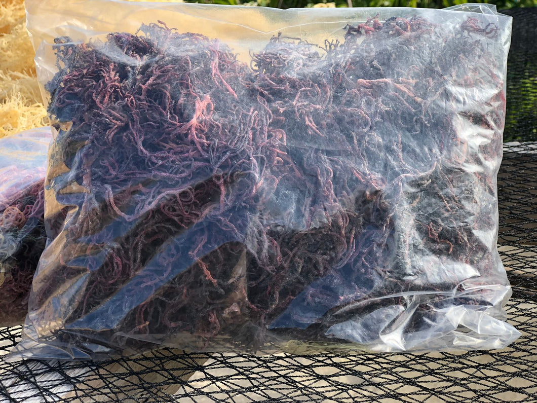 (1.2) Organic Purple Seamoss 1lb/(16oz)